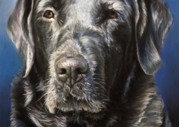 retrato al pastel de Max, un perro de color negro