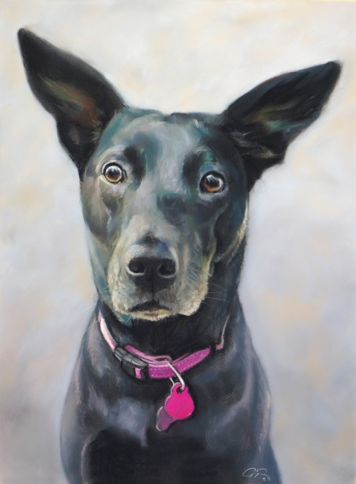 Imagen que muestra un retrato a color de un perro realizado a mano con la técnica de pintura al pastel