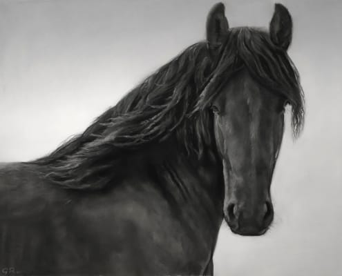 Dibujo al carboncillo de caballo sobre papel en blanco y negro.