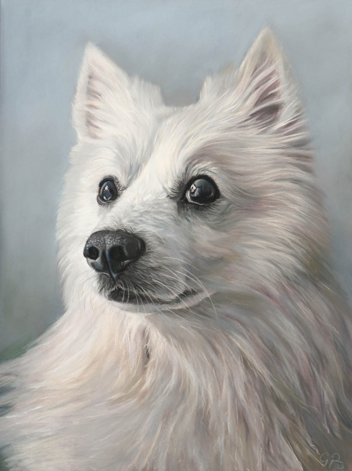 Retrato de mascota personalizado al pastel a color de un perro de pelo blanco que mira a cámara con curiosidad